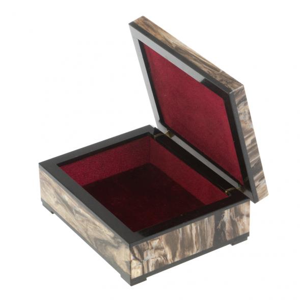 Шкатулка из окаменелое дерево 11,5х9х4,5 см 127603