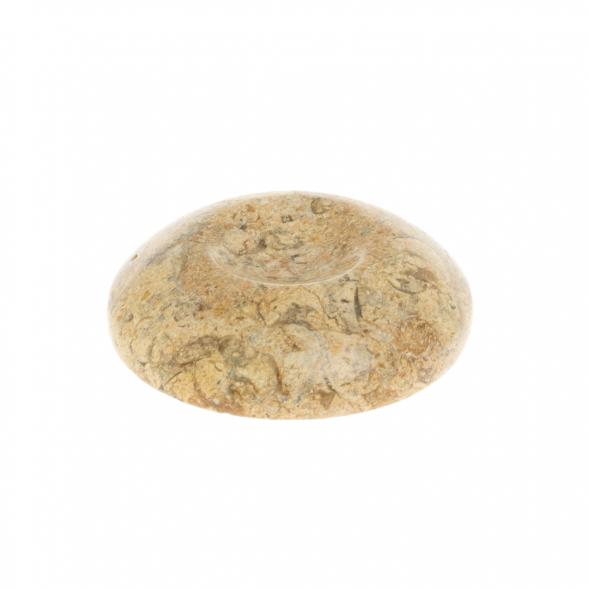 Подставка под шар/яйцо из ракушечника 5х5х1 см (2) 129739